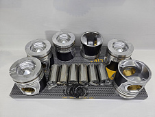 ППоршни DL08 65.02501-0505/ 130602-00794/ 65.02501-0501 (fire box=66mm) Alfin/Gal. 