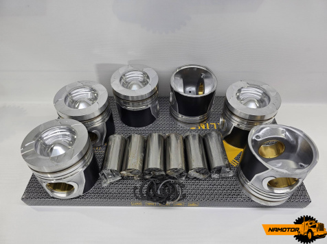 ППоршни DL08 65.02501-0505/ 130602-00794/ 65.02501-0501 (fire box=66mm) Alfin/Gal. 