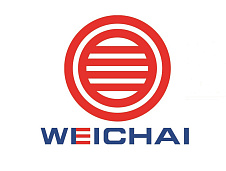 Поршень двс Weichai WP10HG/ WP10HG230E 