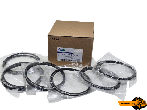 Кольца поршневые DL08 / 65.02503-8038 / 65025038038 Doosan. Daewoo BH090, BS106, Novus(108-3dk-2.5-4mm)